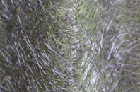 Houghton fibreglass roof work